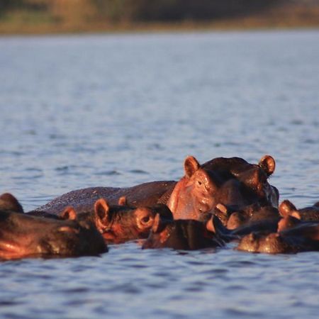 Lake Naivasha Simba Lodge Nairobi Dış mekan fotoğraf