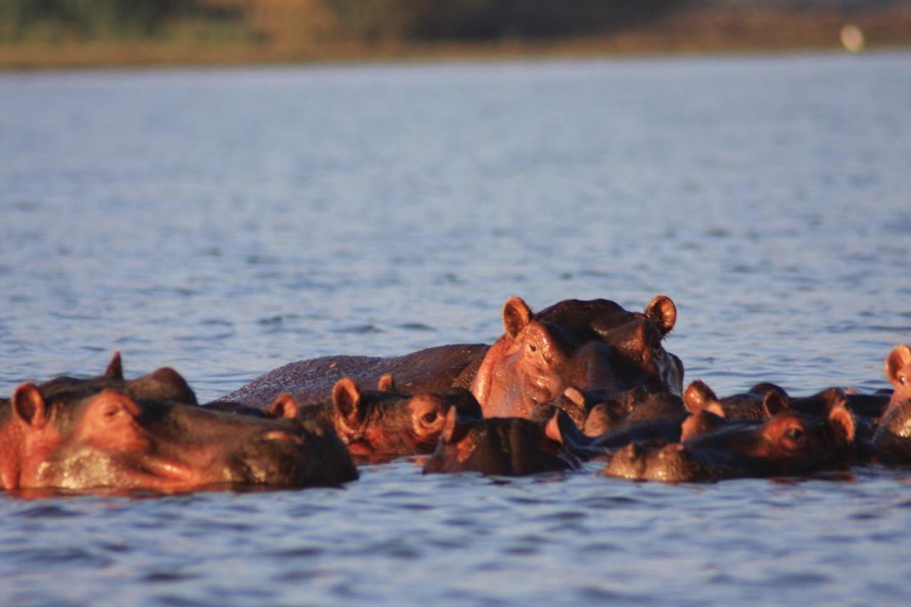 Lake Naivasha Simba Lodge Nairobi Dış mekan fotoğraf