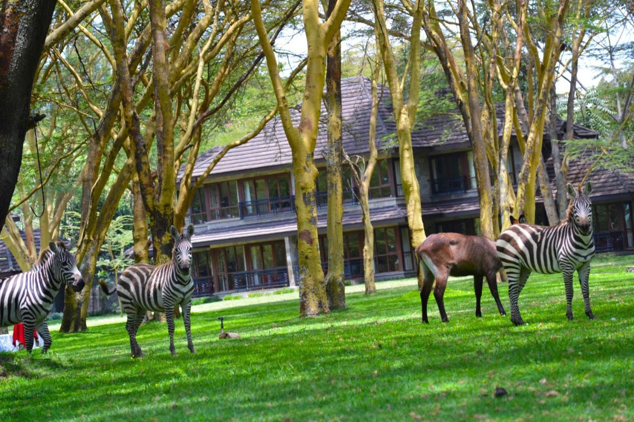 Lake Naivasha Simba Lodge Nairobi Dış mekan fotoğraf